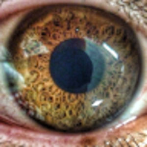 Meet your Posher, Christian